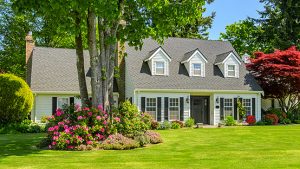 Roofworks Shingled Roof Columbia