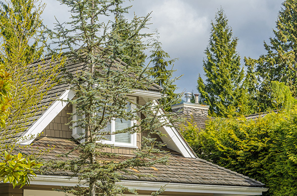 prevent-weather-damage Prevent Weather Damage