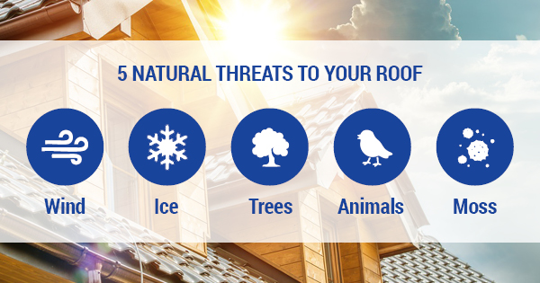 Natural Threats to Your Roof