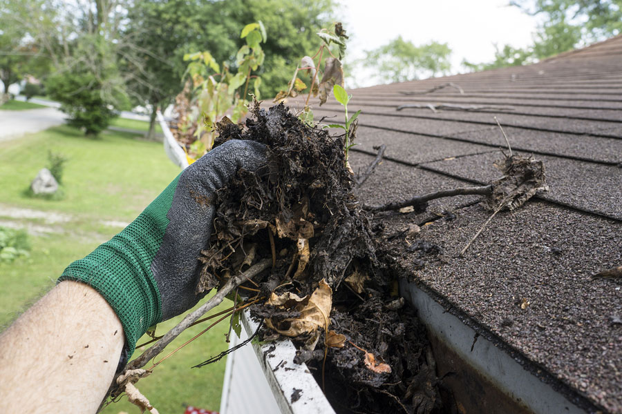 Cleaning Gutters