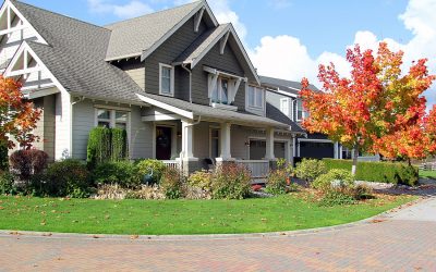 Roof Repairs to Consider as Autumn Approaches
