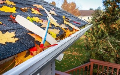 What You Didn’t Know About Gutter Maintenance