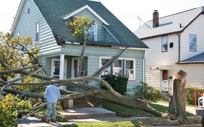 4 Things Companies Wish You Knew About Roof Repairs