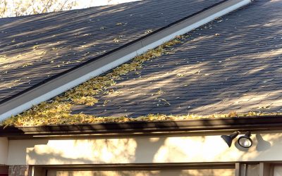 How Roofing Repair and Maintenance Saves You Money in the Long Run