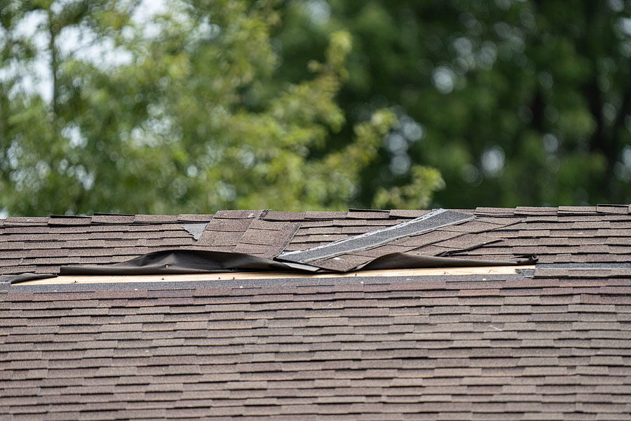 Shingle Roof Damage