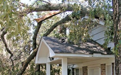 4 Signs That You Need Emergency Roofing Services