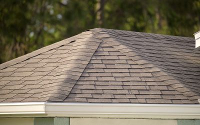 Why Is Asphalt Shingle Roofing So Popular?
