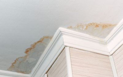4 Reasons You Need to Repair Your Leaky Roof