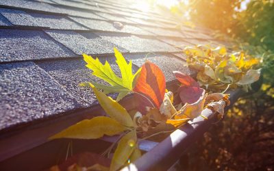 How Often Should Your Gutters Be Cleaned?