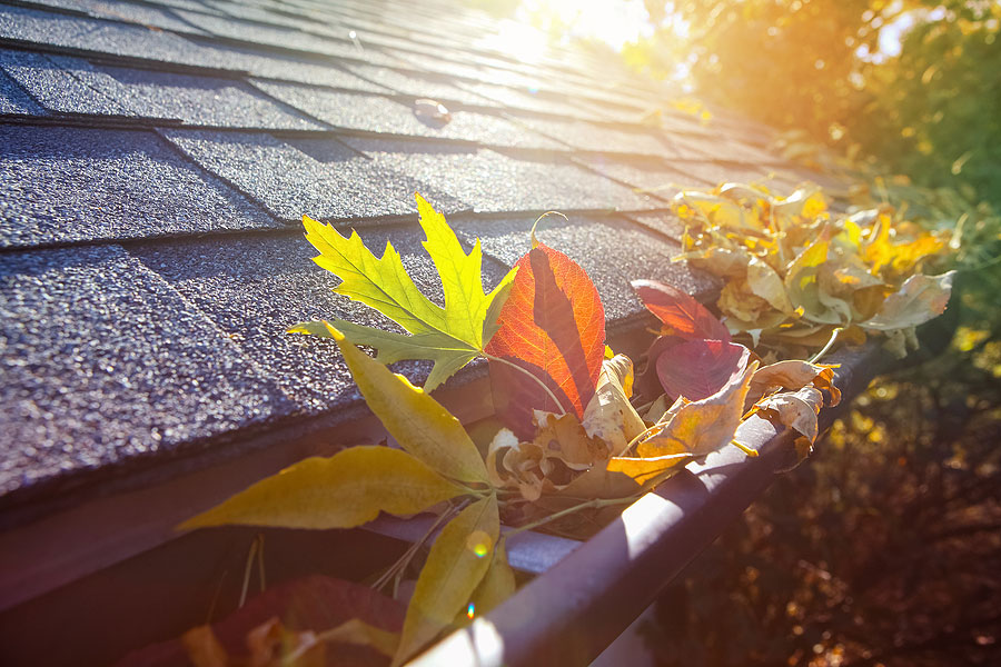 Leaves-Clogging-Gutters Gutter Clogged with Leaves
