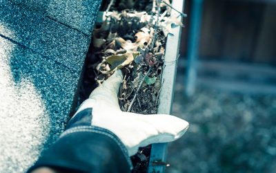 Questions You Should Ask Before Hiring a Team for Gutter Services