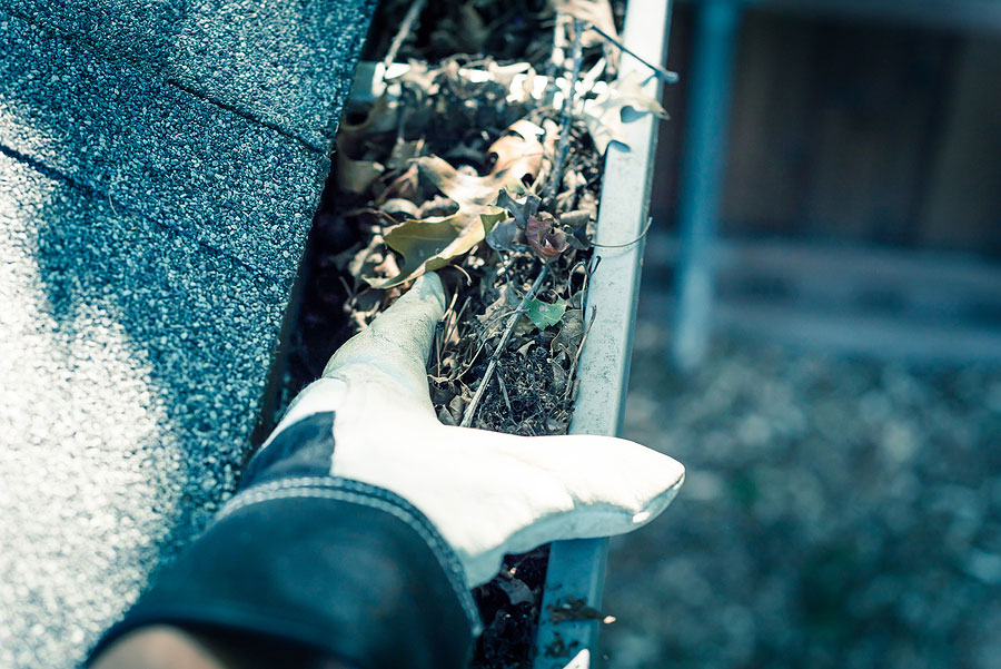Hand reaching into gutter filled with leaves