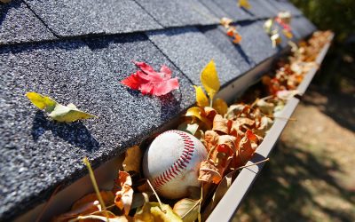 Why Gutter Cleaning Is Essential for a Healthy Roof