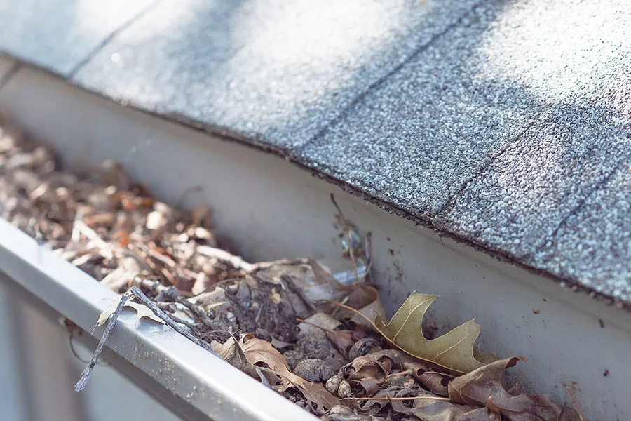 Gutter Clogged with Debris