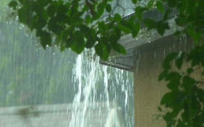 Why It’s Crucial to Schedule a Gutter Service After a Storm