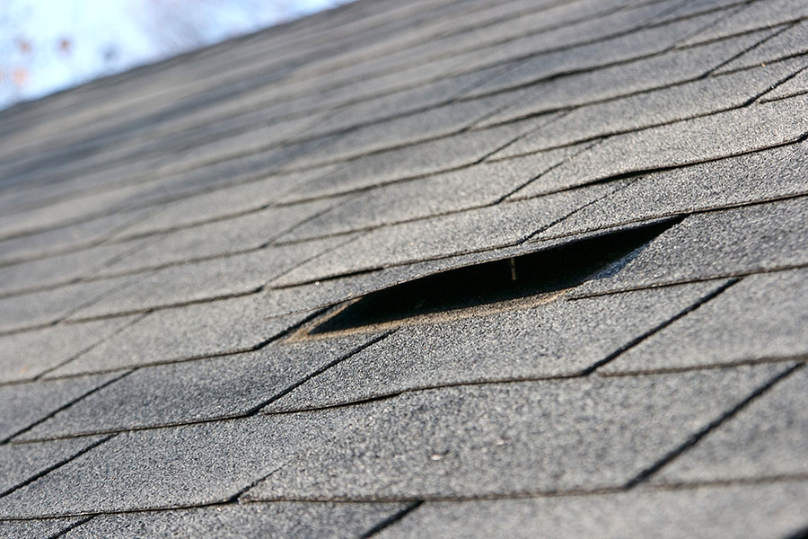 Damaged Roofing Shingle