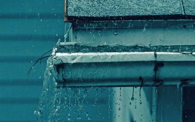 4 Signs Your Gutters Need Immediate Attention