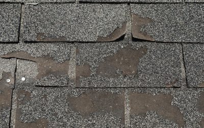 3 Urgent Signs You Need Professional Roofing Services