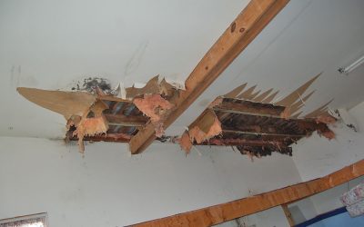 Beyond the Shingles: The Hidden Attic Repairs Included in Top-Tier Roofing Services