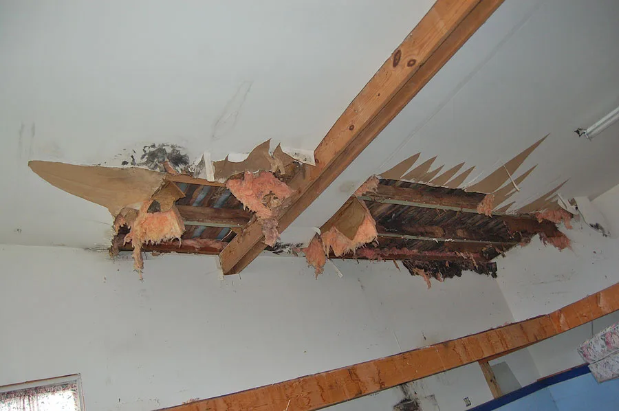 Leaking Roof Ceiling Damage from Attic